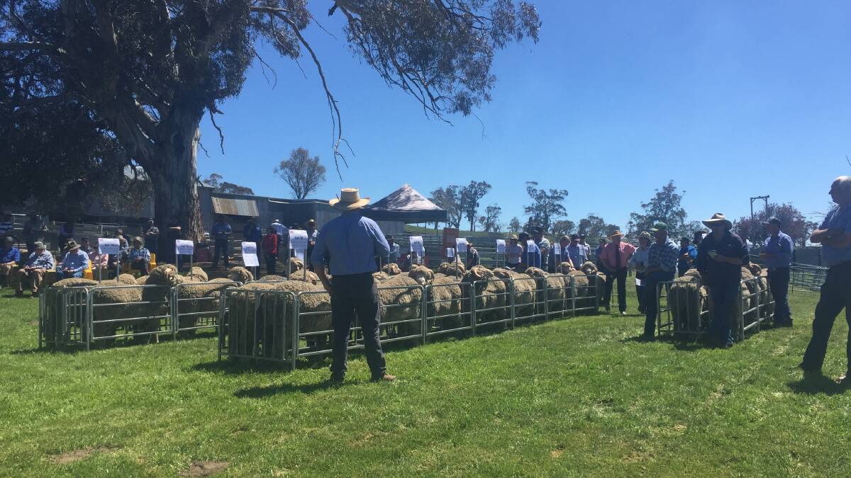 A very keen crowd of woolgrowers at the 10th annual on-property ram sale at Avonside.