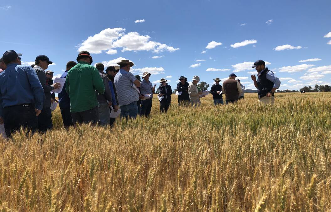 Growers at the 2018 Evan Moll Gerogery Field Day. Photo: supplied Riverine Plains