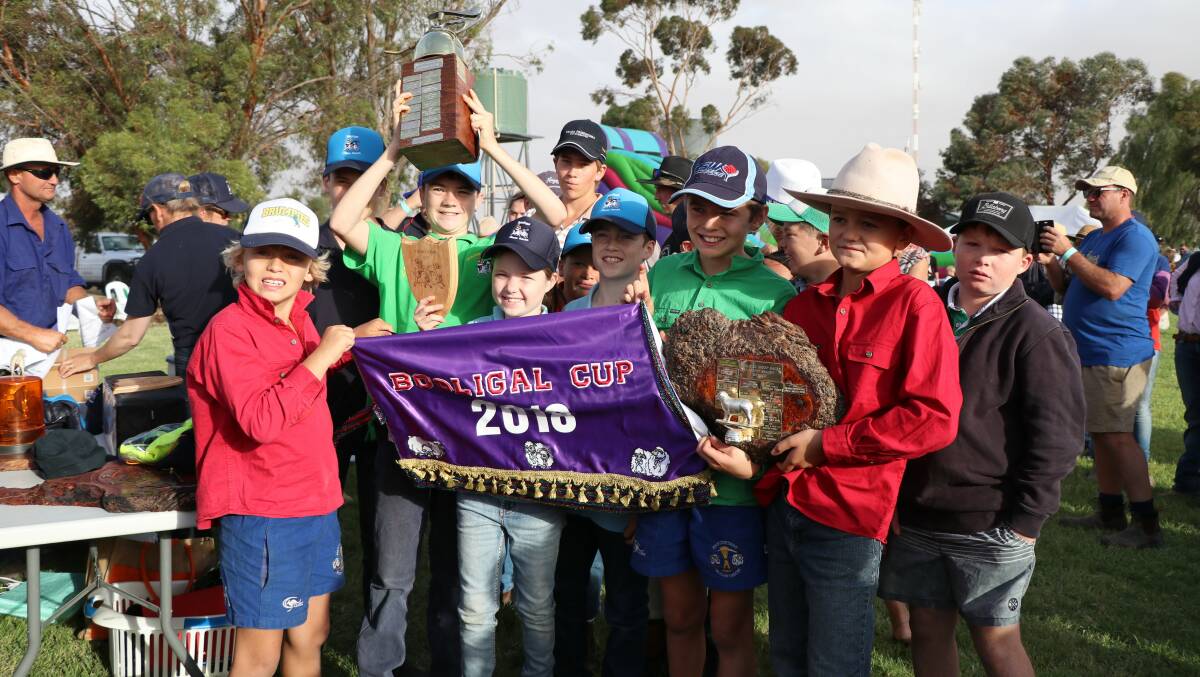 Tom Mclean and his mates celebrating the win of "Sandpaper", in the 2018 running of the Booligal Cup. Photo: Jenna Shirt.
