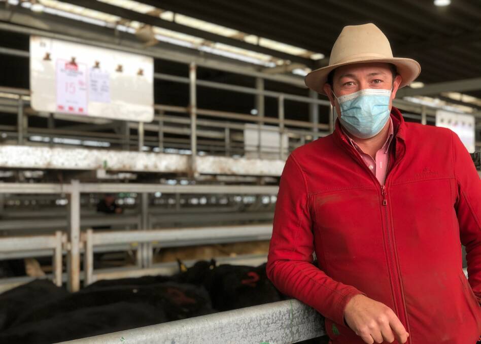 Oliver Mason, Elders, Wangaratta, Victoria, at the NVLX Wodonga store cattle sale where 15 Angus steers, weighing 280kg sold for $1660 on account Lindooga Pastoral Co, Table Top.