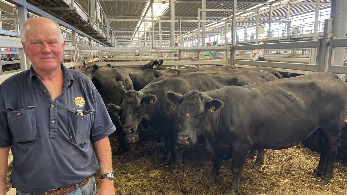 Greg Doherty, Tulagi Angus, Finley, sold 10 Angus cows with calves, and not rejoined for $2680. Picture by Stephen Burns.