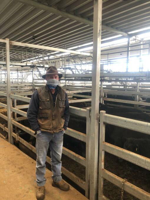 Peter Ruaro from Peter Ruaro Livestock and Property Rodwells, Wodonga, with 12 Angus steers (340kg) that sold for $1490/head or 438c/kg at the Northern Victoria Livestock Exchange, Wodonga, store cattle sale on Thursday. Photo: NVLX 