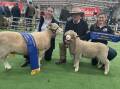 Eleanor Grieve with the champion ewe, Robert Grieve with the champion ram and judge Katie Shapcott.