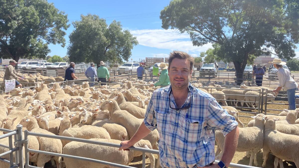 Douglas Martin, Telko, Mathoura, sold 164 first-cross ewes for $220.