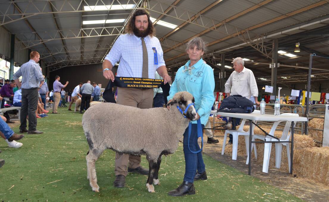 Judge Will Gibson, Middlemarch, New Zealand presenting grand champion ewe sash to Anne Barnes, Werowna Park Black and Coloured Merinos, Yass. 