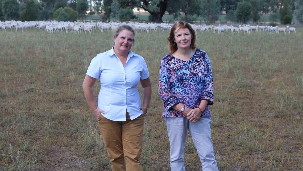 Associate Professor Jane Quinn and Professor Leslie Weston have led research into the grazing of biserrula at CSU, Wagga Wagga. Photo: supplied.