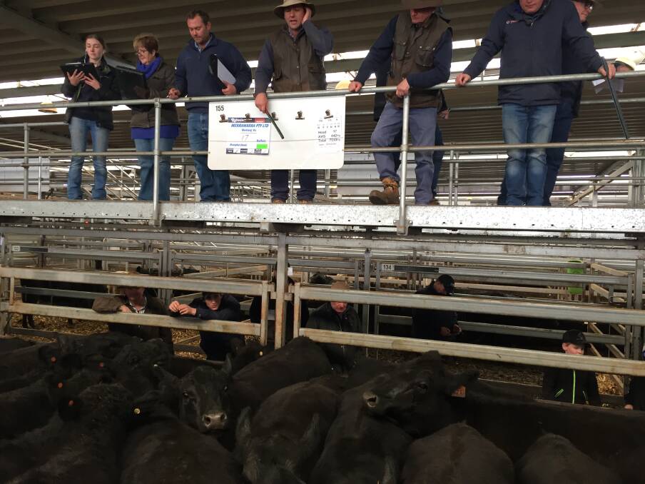 Murray Bullen (centre) auctioneer for Rodwells Peter Ruaro taking bids on 14 Angus heifers weighing 395kg which sold for $1200.
