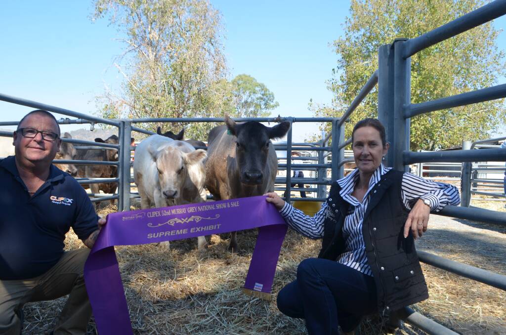 Mark Deegan, Victorian state manager Clipex, major sponsor presenting supreme exhibit sash to Dianne Whale, co-manager Glenliam Farm, Dungog. Glenliam Farm Linda D37, an August 2008 cow with her July 2017 bull calf.