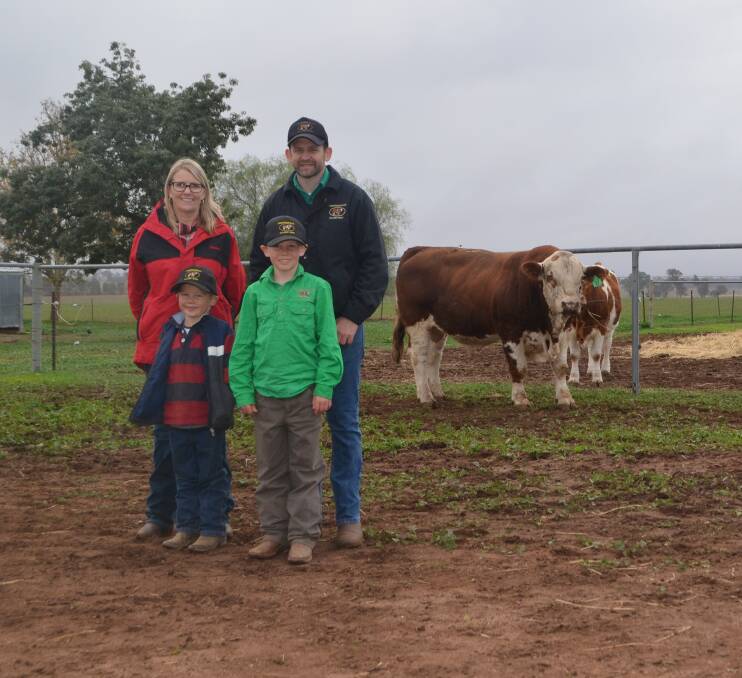 Top priced bull, Tennysonvale Noah purchased by Blue Dog Simmentals, Wandoan QLD, with Jenni O'Sullivan, Elders studstock and George, Angus and Carl Baldry, Tennysonvale Simmentals, Illabo.