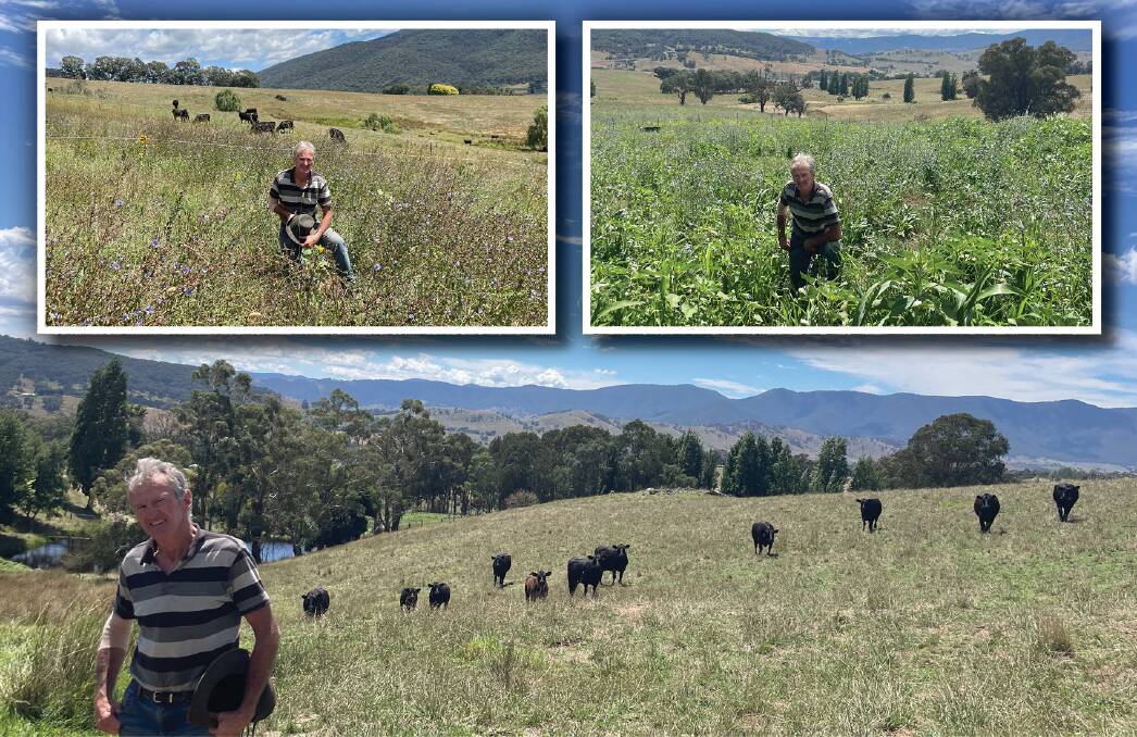 John McEvoy, checking his Angus cows and multi-species pastures on the family farm at Dederang, Victoria.