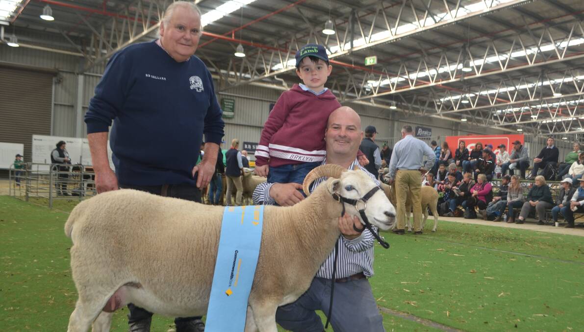Judge Barry Shalders, Willow Drive, Grassmere, sashing the supreme Wiltshire Horn, the champion ewe exhibited by Justin and Jason O'Loghlin, O'Loghlin Wiltshire Horn stud, Deniliquin, NSW.