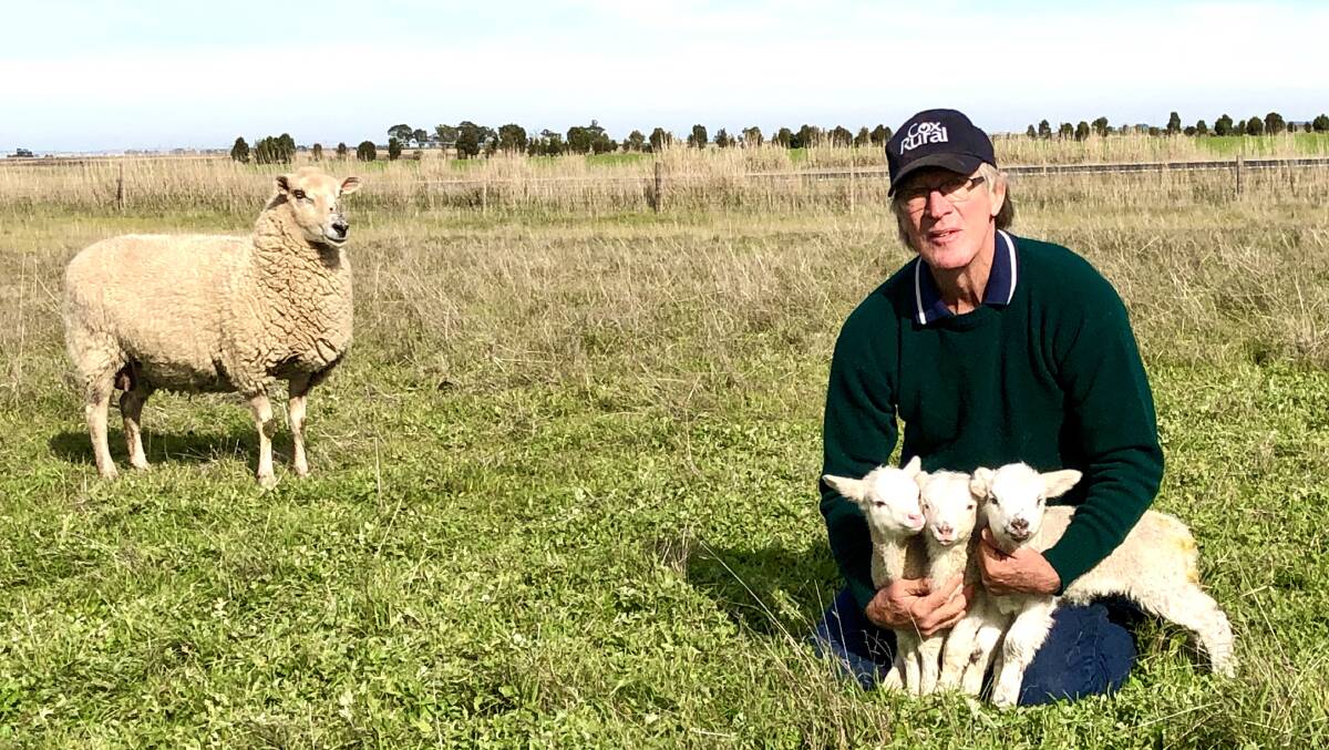 Dr Colin Earl with a set of Multimeat triplets in South Australia. Photo: Julie Earl