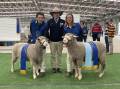 Judge Malcolm Starritt (centre) with the sashed Prime SAMM champions - Michael Gale and his partner Carolyn Perkins, Galaxy Park, Tintinara, SA, presenting the ewe and ram.