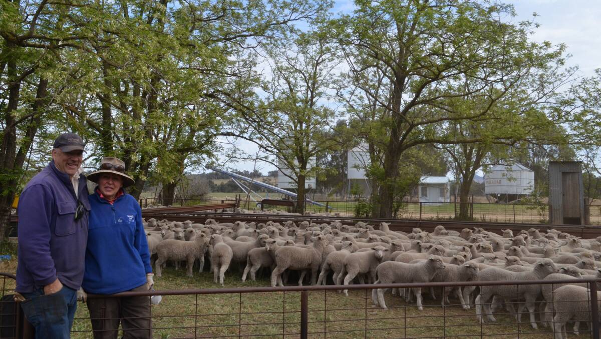 Tony and Annabel Wallace, Erinvale, Murringo, after drafting and weighing White Suffolk/Merino weaner lambs.