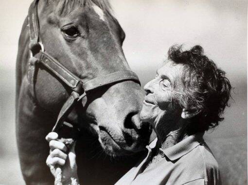 Elyne Mitchell was an Australian author noted for the Silver Brumby series of childrens novels. Her nonfiction works draw on family history and culture and is the inspiration for this photo story competition. Photo: supplied