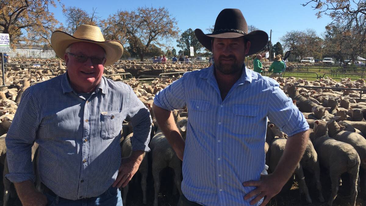 Col and Tim Durnan, Frying Pan Creek Partnership, Narrandera with the 397 March/April 2020 drop ewes sold for $320.