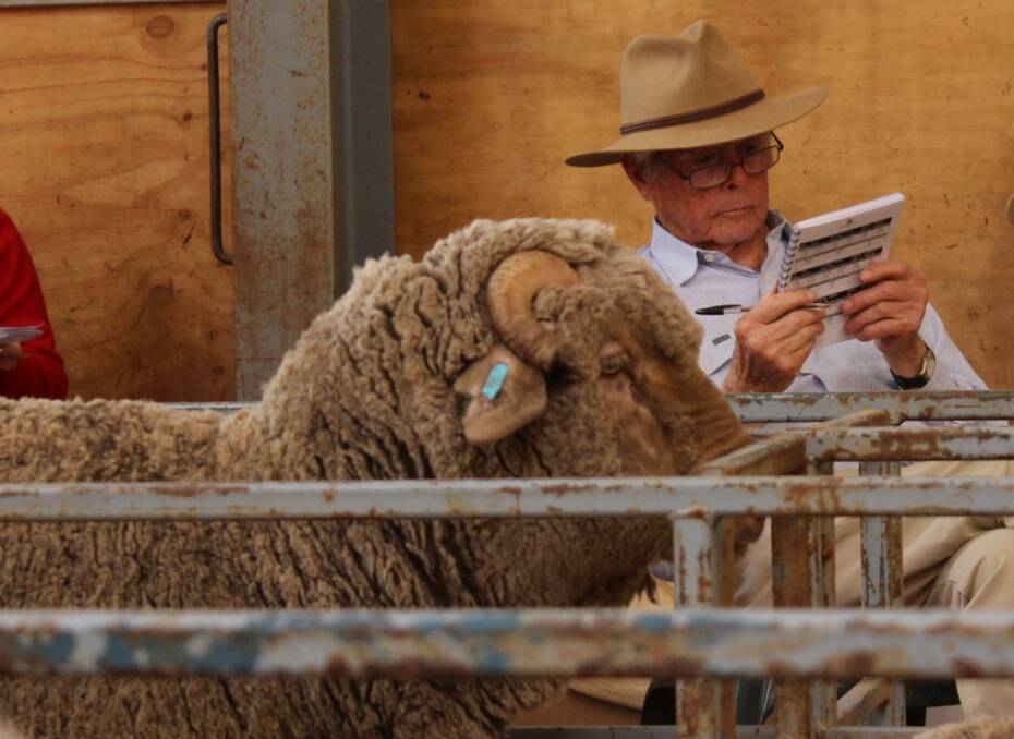 James Litchfield OAM studying the sale catalogue for one of the on-property ram sales held for the Hazeldean Merino stud, Cooma. Photo: Litchfield family