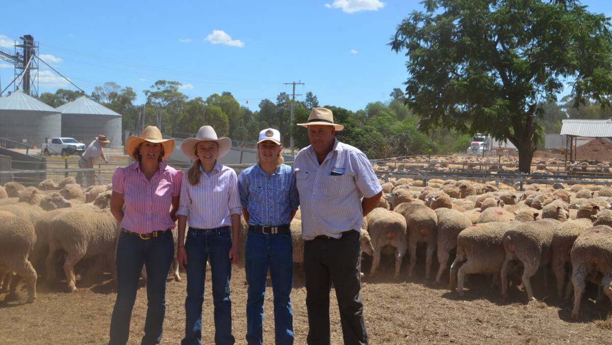 Katrina, Emma, Harry and Neil Morris, "Rickaveera", Ardlethan with their pen of 199 Merino ewes, March/April 2014 drop, June-shorn and scanned 162% in-lamb to Mt Beckom Poll Dorset rams sold for $304.