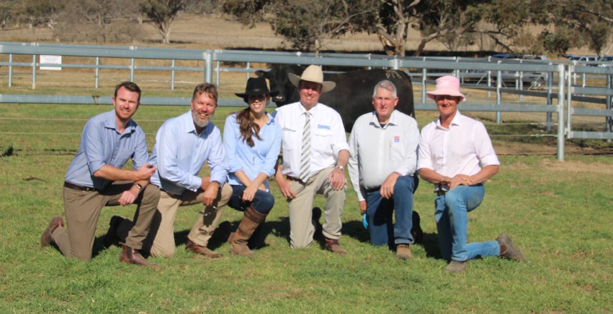 Chad Hall, Paul and Siobhan Cowan, Oldfield Angus, auctioneer Paul Dooley, semen rights purchaser Bill Cornell, ABS, and vendor Ross Thompson with the top-priced bull.