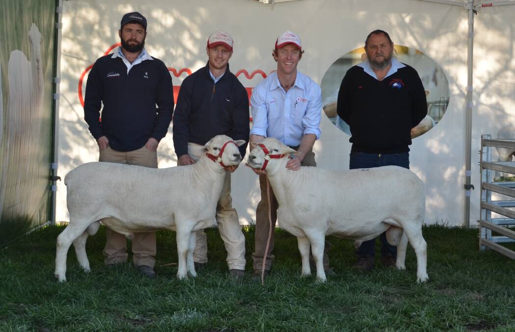 Southern demand: Ben Rowney, Ross and James Gilmore, Tattykeel, Oberon and Nip Rowney, Gamadale, Victoria who purchased two rams.