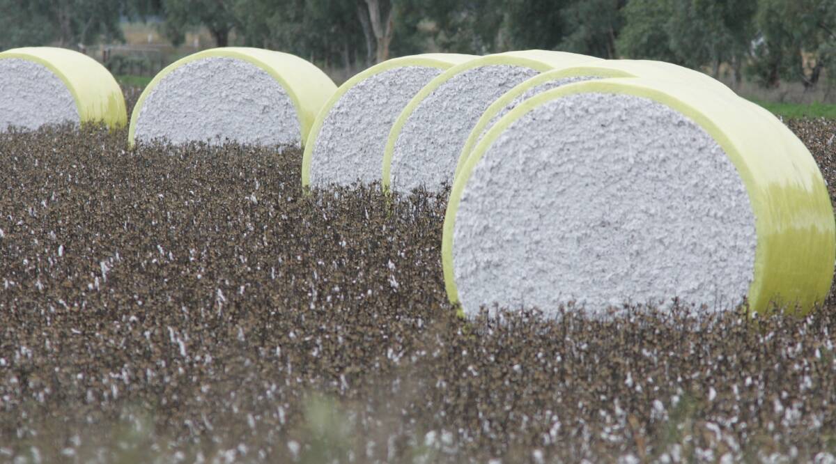 Louis Dreyfus Company says it expects to provide competitive ginning and enhanced services to cotton farmers. File photo.