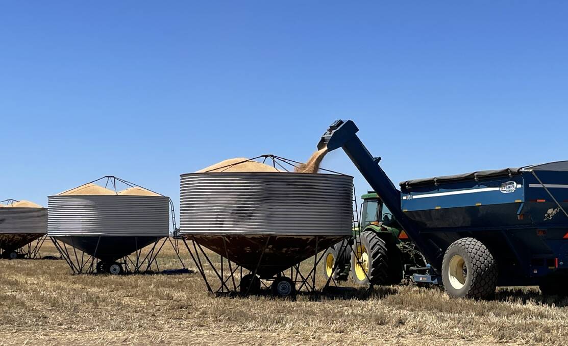 Farmers rake in the cash as big harvest and commodity prices pay off