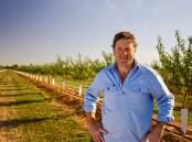 Managing director of goFARM's $1 billion agricultural portfolio, Liam Lenaghan.