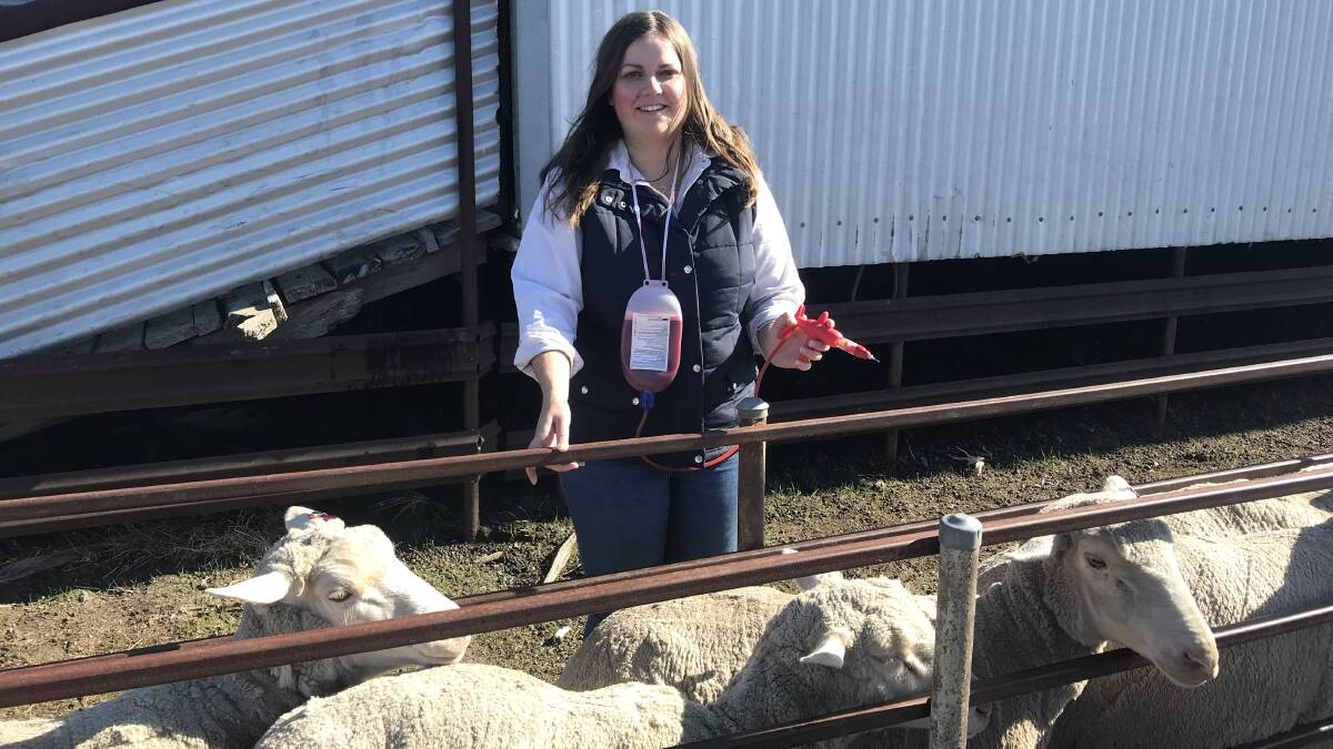 PASSIONATE: Jess Pilgrim, Nhill, is president of the town's young farmers club and a member of the state government's Young Farmers Advisory Council.