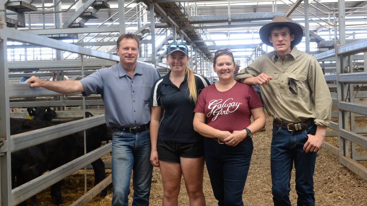 Chris, Sarah, Karen and James White from Barambogie, Chiltern, Victoria, sold 12 Angus steers for $980 a head last Friday. 