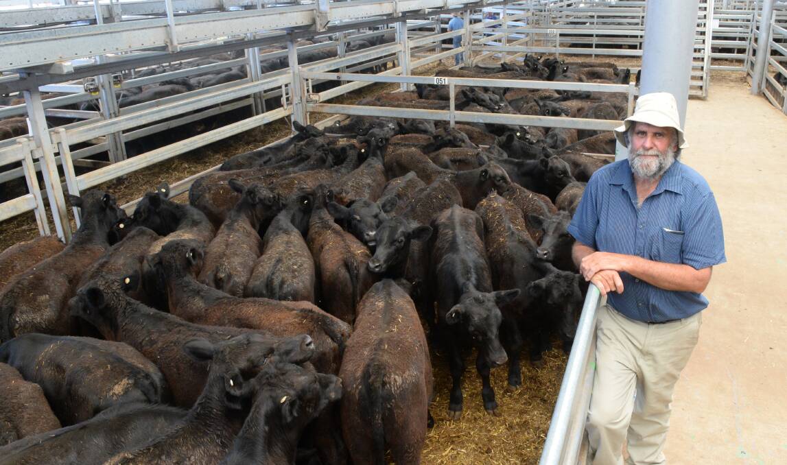 Phillip Rattray from north-east Tasmania purchased a total of 340 steers, including 120 head of Reiland Angus bloodline steers from Coolong Pastoral Company, Torong, Hay. 
