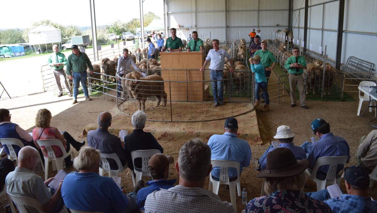 The largest volume buyer was the Dawe family of Karoola Pty Ltd, Young who purchased 15 rams for a top of $1500 and average of $1067. 