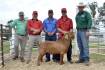 Buck sells for $21,000 as several records break during the Cobar Red and Black Goat Sale | Photos