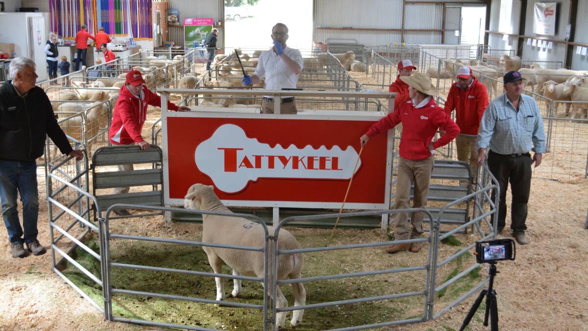 The sale was conducted by Nutrien Bathurst with Miles Pfitzner, Adelaide, SA, as the auctioneer. 