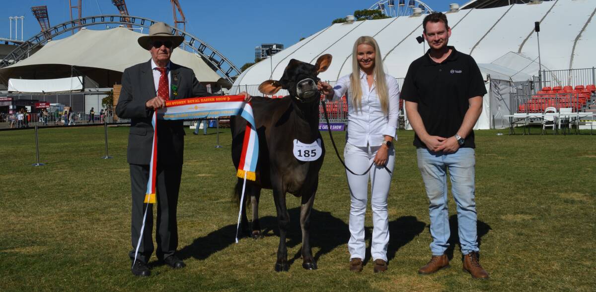 Supreme junior interbreed dairy female sashed by RAS councillor Ron Smith, led by Zoe Hayes and pictured with owner Declan Patten, Lightning Ridge Jerseys, Sale, Vic. 