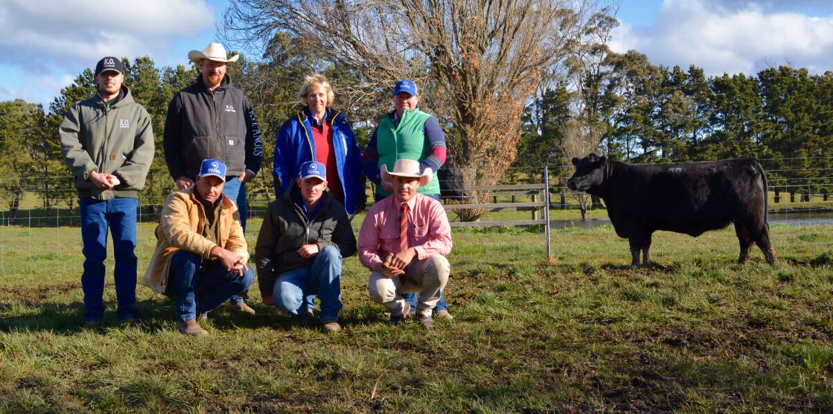 Angus Onisforou and Tim Lord of KO Angus with buyers of the $20,000 top-priced female Margo Duncan, Pennie Lieb, (front) Aaron Lieb and Jamie Grosser of Boambee Angus, East Seaham, and auctioneer Lincoln McKinlay, Elders. Photo: Hannah Powe