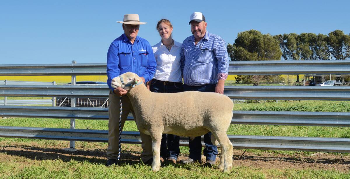 Dennis Rowley of Springwaters holding the $5500 ram purchased by Lisa and Kyle Sturgess of Redline stud, West Wyalong. 
