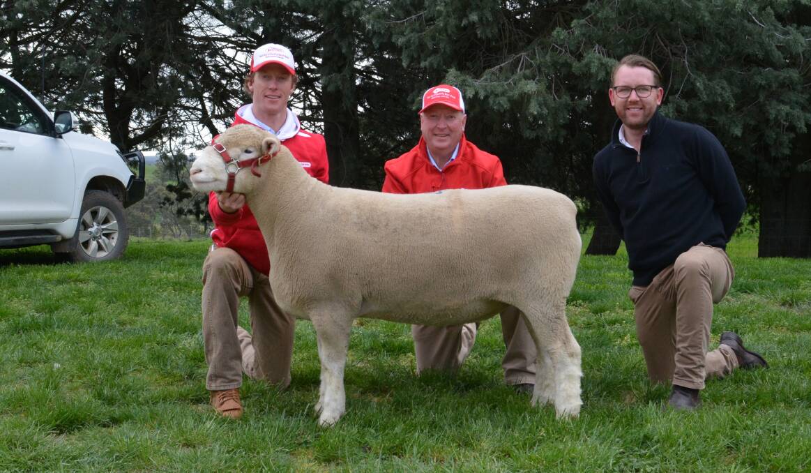The $24,000 sale-topper with James and Graham Gilmore, Tattykeel, Black Springs, and auctioneer Miles Pfitzner, Adelaide, SA. 