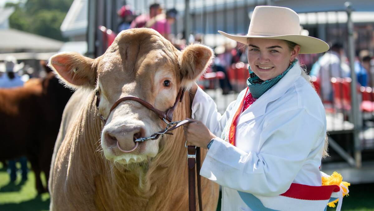 Parkville local Tayla Miller would have represented New South Wales in the ASA national final for beef cattle paraders at the Royal Queensland Show (Ekka), Brisbane, rom August 7 to 9. 