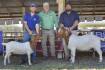 Bucks to $6000, does to $5500 at Inaugural Trio of Treasures NSW Boer Goat Sale