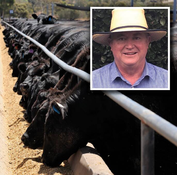 JBS Australia northern livestock manager Scott Carswell, Ipswich says mandating a vaccination program for Bovine Respiratory Disease (BRD) prevention is a no-brainer. 