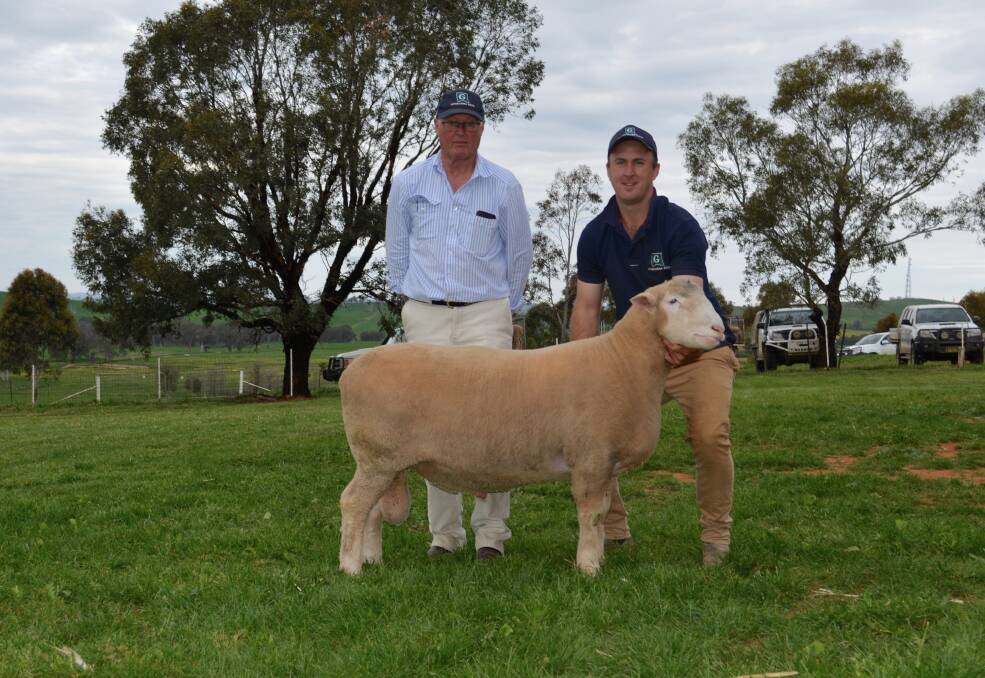 James Corcoran Snr and James Corcoran Jnr holding the $14,000 second top-priced ram purchased by Henry Cameron of Penshurst, Vic through AuctionsPlus. Photo: Hannah Powe 