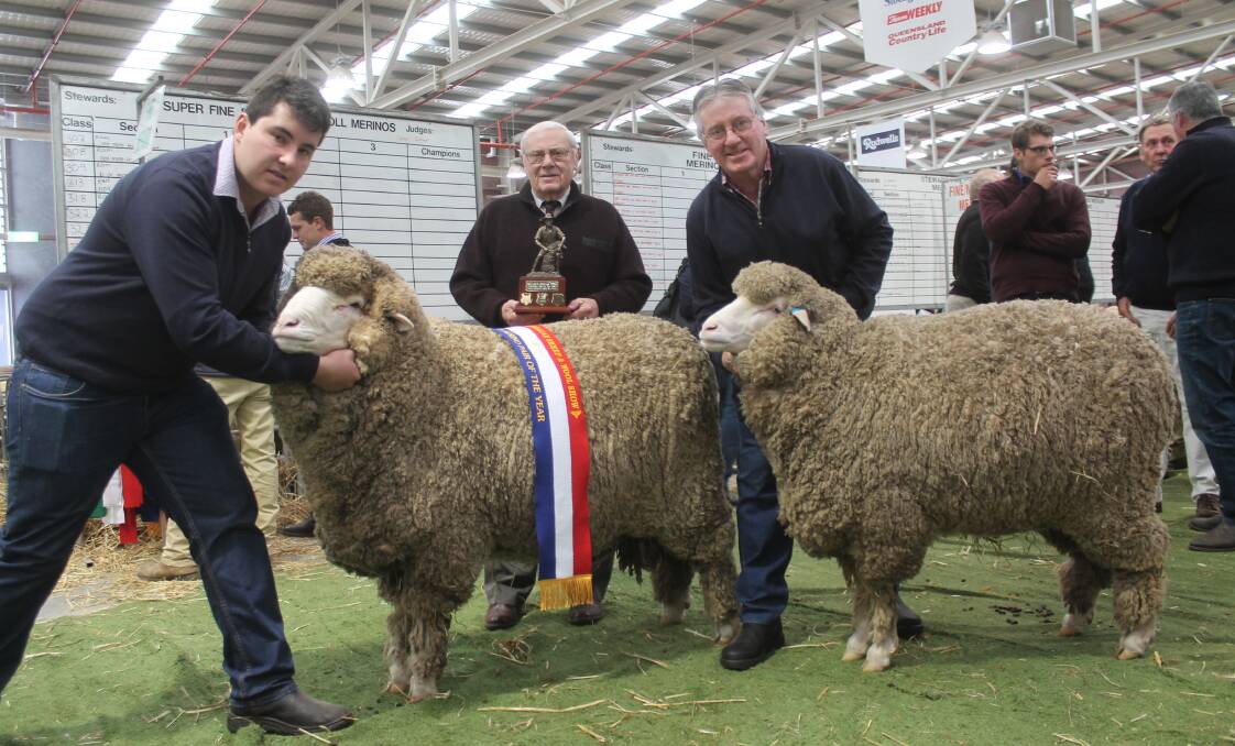 At the Australian Sheep and Wool Show, Bendigo.