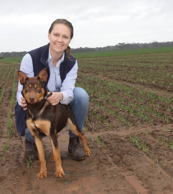 Young gun: Claudia Gebert and her kelpie pup. She works on the Southern Farming System's western Victoria trials and extension events.