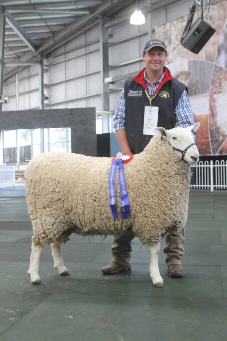 Bauer Border Leicester stud principal Jamie Buerckner with the champion ram of the breed (that went onto win supreme).
