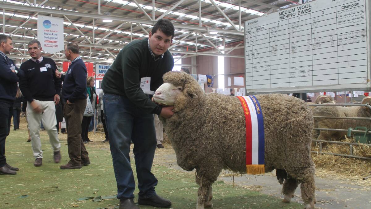 Jack McRae with the grand champion strong wool ram of the show, exhibited by his family's Oakbank stud, St Arnaud.