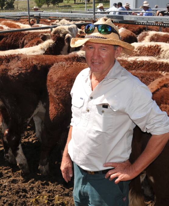 Peter Sandy, J & P Sandy Partnership, Tongio, sold 318 mixed sex weaners at Omeo on Wednesday. Photos by Wayne Jenkins.
