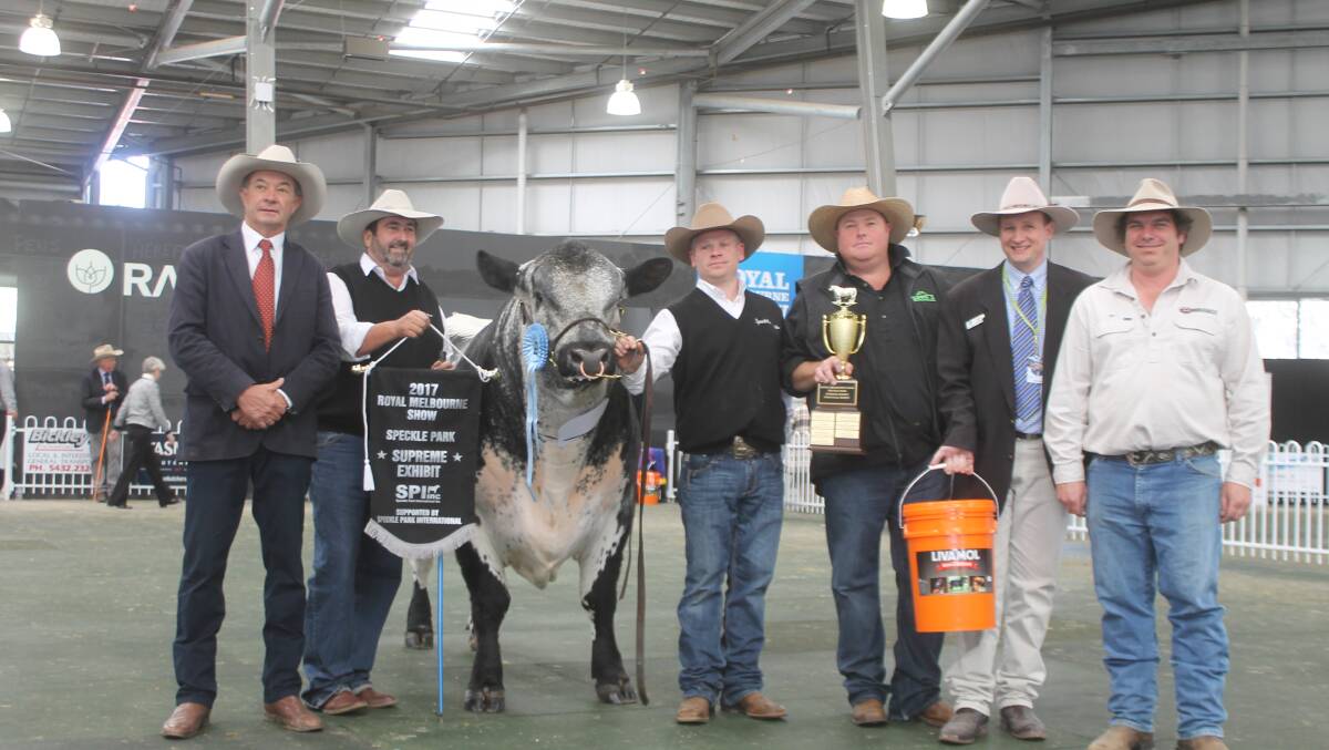 Six Star Premier won supreme exhibit of the breed, with it are judge David Bondfield, co-owner Greg Ebbeck, handler Erin Grylls, sponsors Dale Humpries of Wattle Grove Speckle Parks and Jason Sullivan of International Animal Products and co-owner Tim Bell.