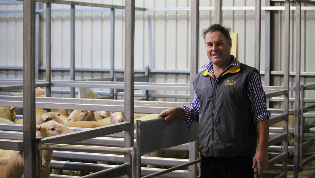 Most of the Yentrac rams were sold to return clients from northern Victoria. Rob McCartney thanked them and was also pleased to welcome a few new buyers.