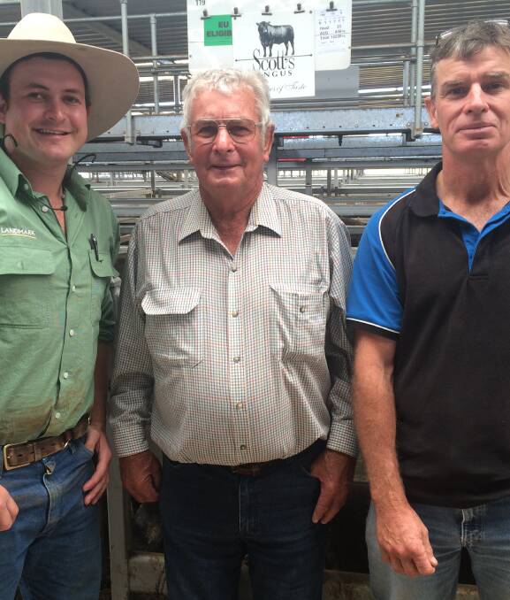 Tom Boyle, Landmark, with Jeff and Steven Scott, Scott's Angus, Glen Elgin,
Henty, NSW. Their draft of 193 13-14 month-old Angus steers, averaged $1513.