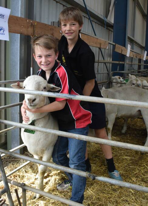 Charlie Keiller (front), 11, and brother Jock, 13, with the top-priced Cashmore Nudie ram.